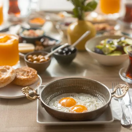 فندق Beyevi ألاتشاتي