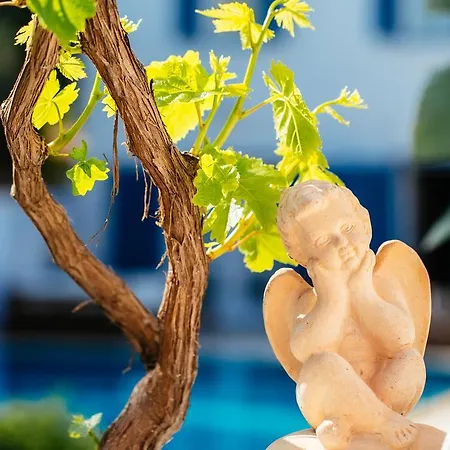 호텔 Beyevi 알라카티