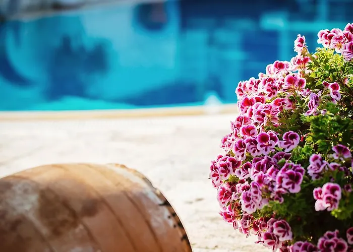 Beyevi Алачати