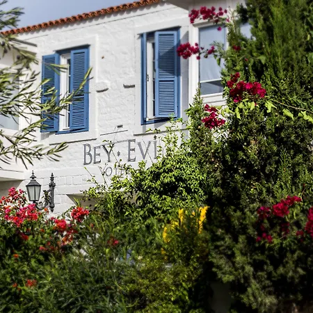 Beyevi